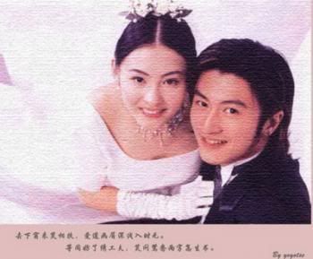 张柏芝和谢霆锋的婚纱照(2)