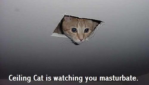 Ceiling_cat_is_watching_you_masturb.jpg