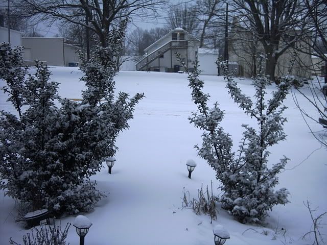 IMG00003.jpg