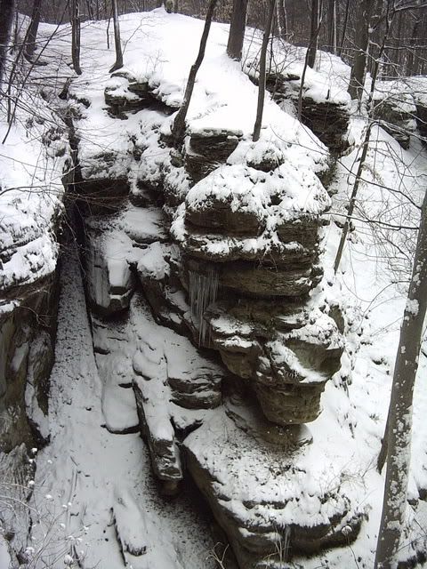 IMG00015.jpg
