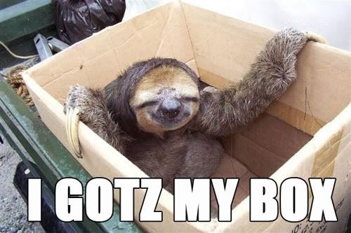 lolsloth.jpg