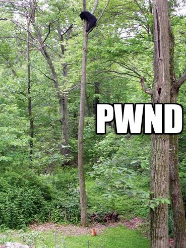 pwnd-1.jpg