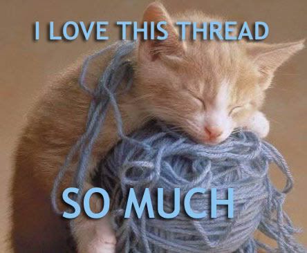 threadcat.jpg