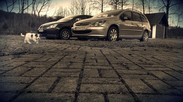 slika