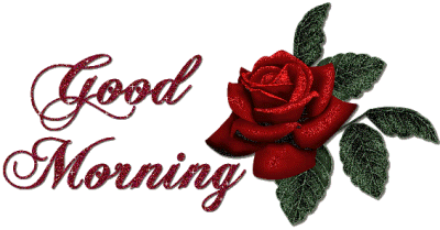 good morning rose Pictures, Images and Photos