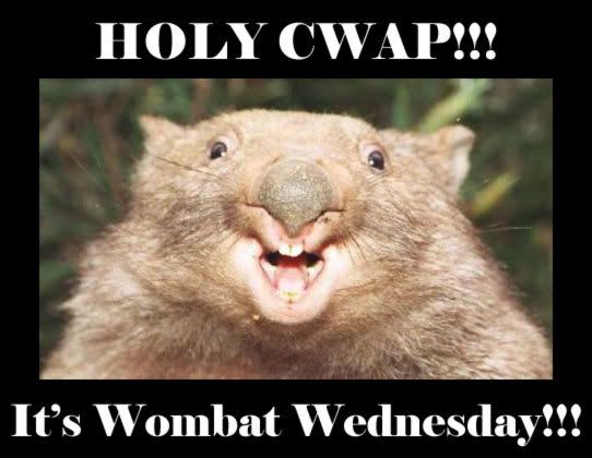 It's Wombat Wednesday!!!