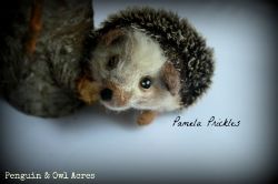 Pamela Prickles  a Needle Felted Hedgehog