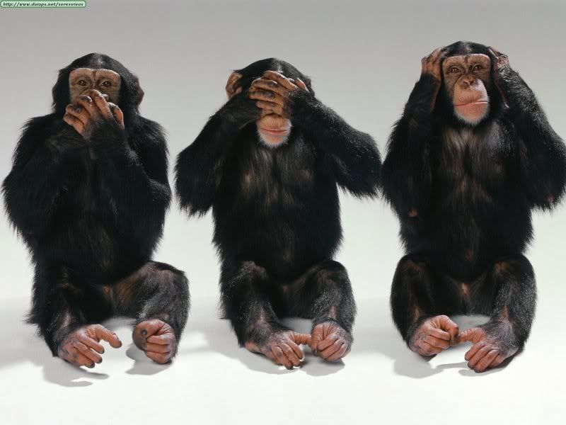 [Image: animals-chimpanzees_hear-no-evil-see-no-...o-evil.jpg]