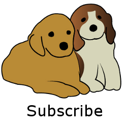 my dog drank mop water