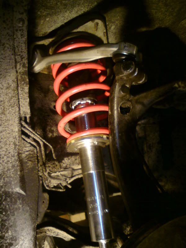 DSC00330.jpg?t=1239090315