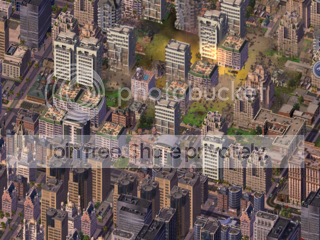 During1.png