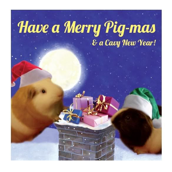guineapigchristmascard.jpg