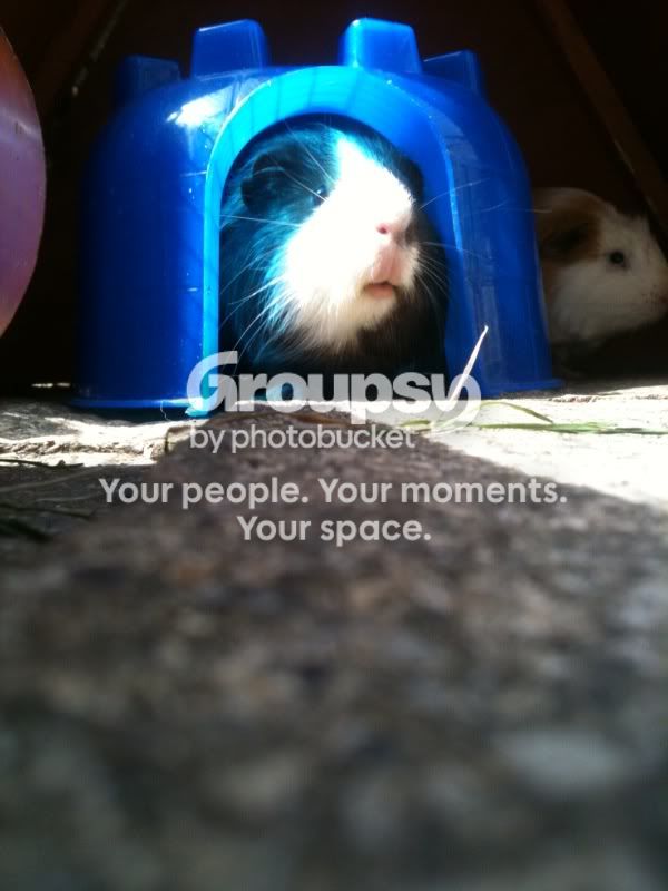 photo21.jpg