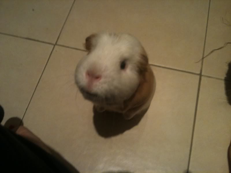 photo30.jpg