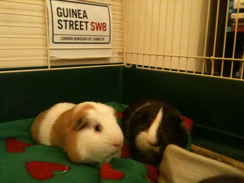 photo35.jpg