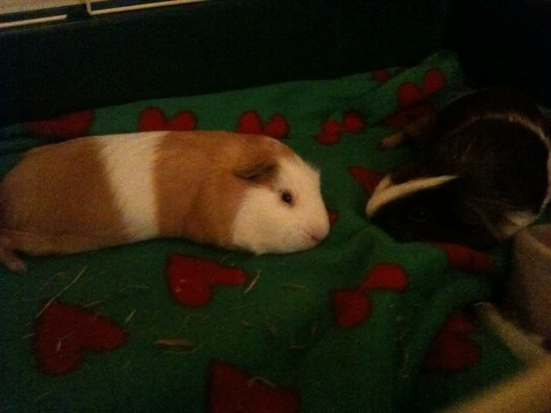 photo38.jpg