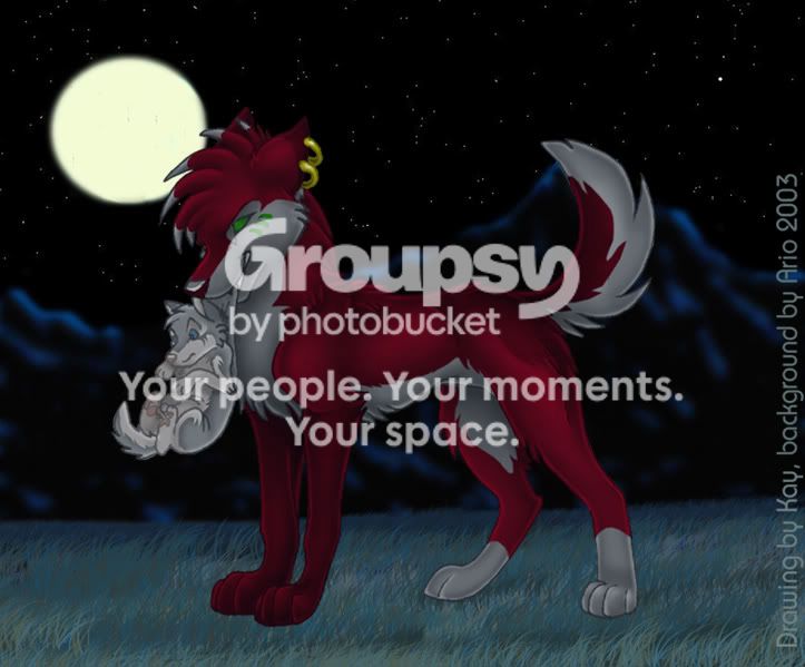 User Image