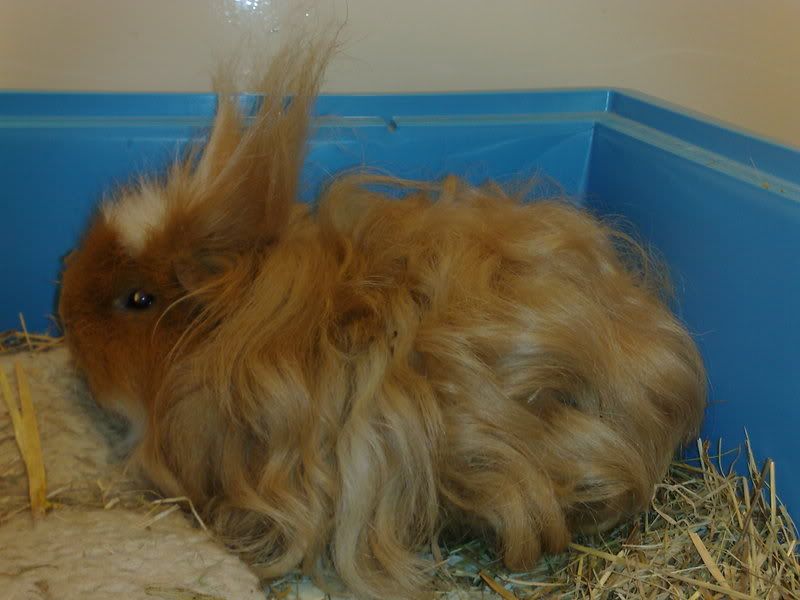 15022009009.jpg