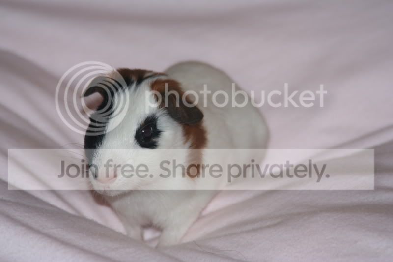 BabyThomas002.jpg