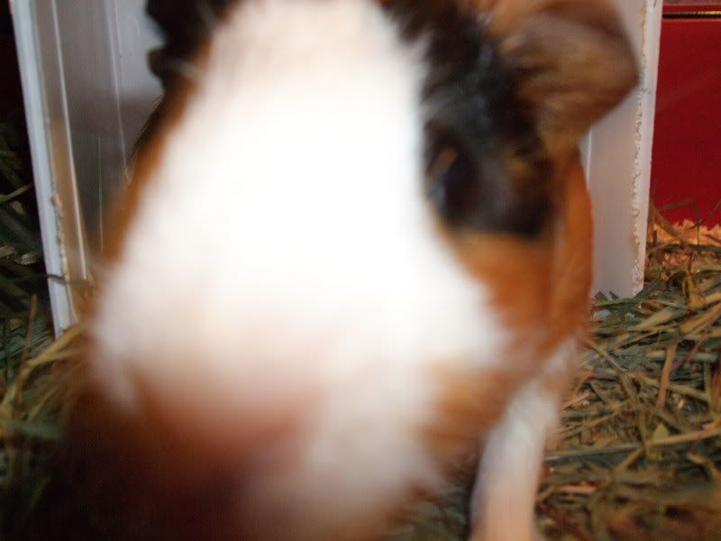 DSCF0353.jpg