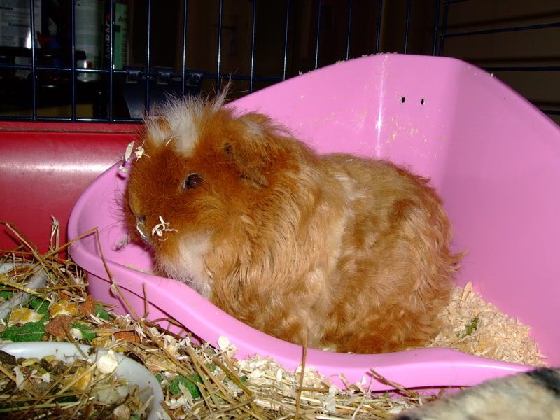 DSCF0375.jpg