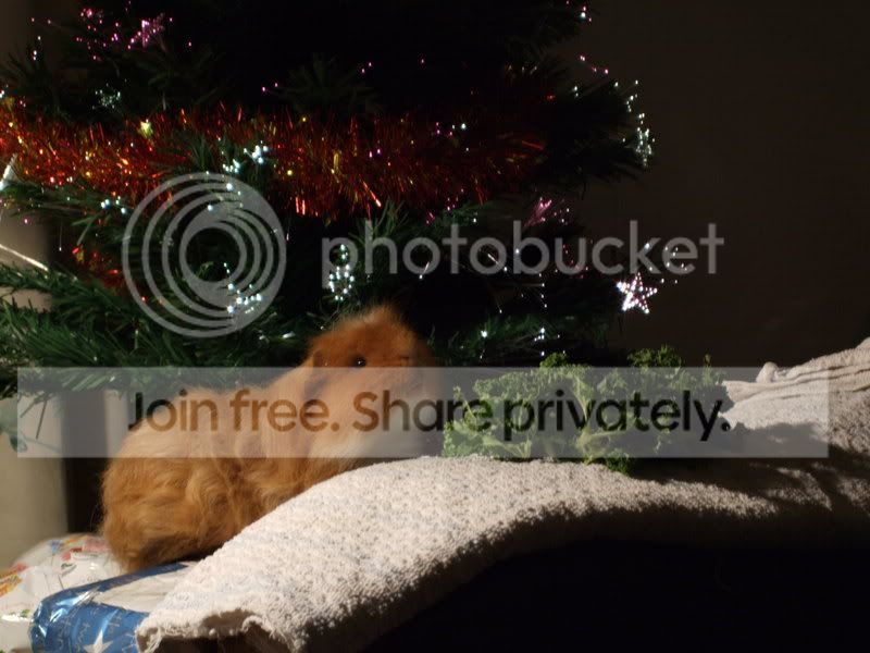 DSCF1575.jpg