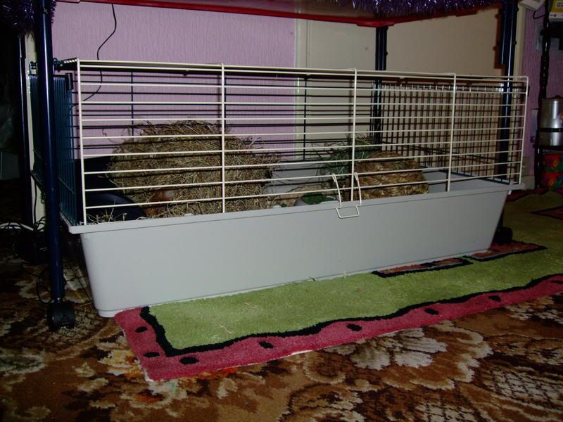DSCF1730.jpg