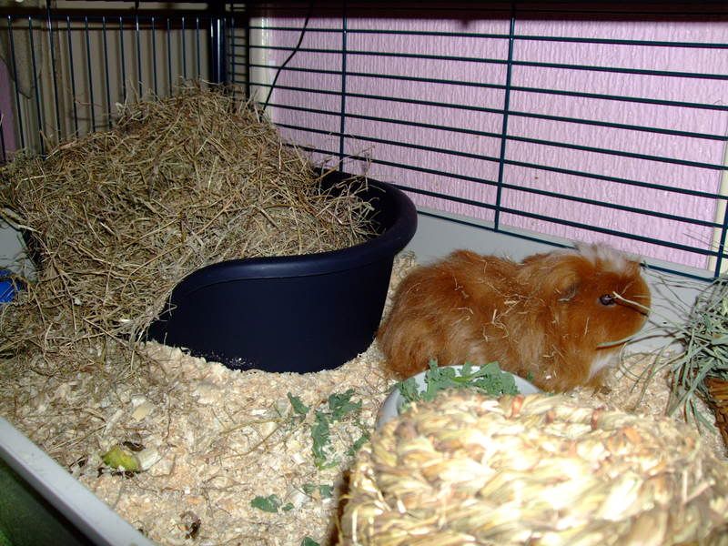 DSCF1733.jpg