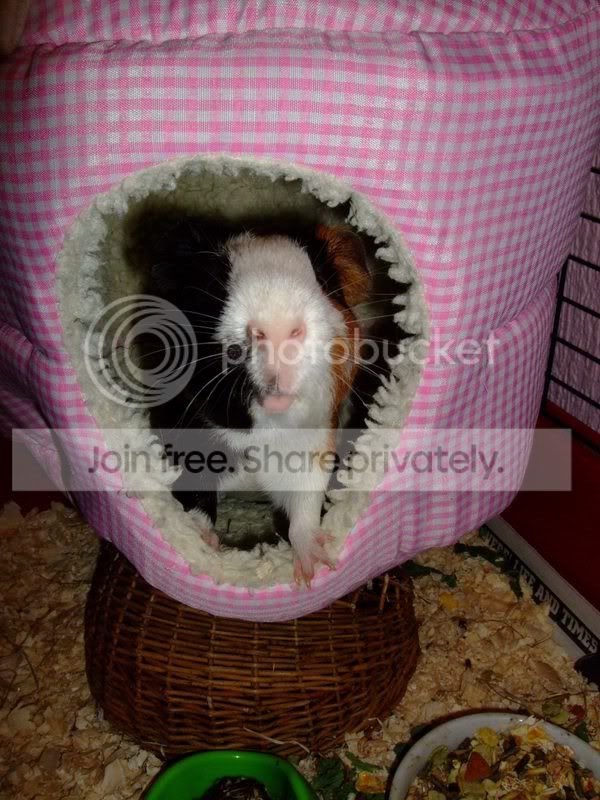 DSCF1741.jpg