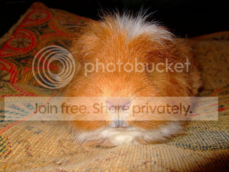 Harry002.jpg