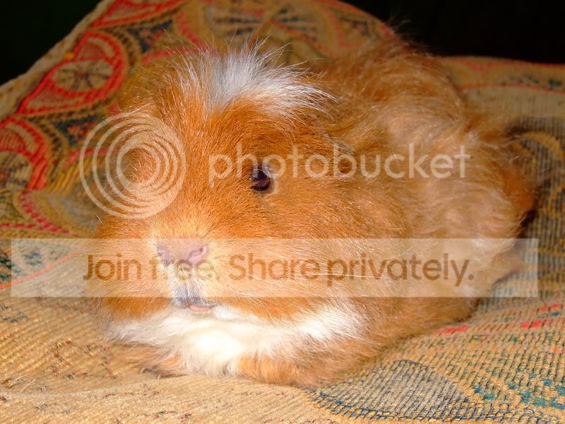 Harry003.jpg