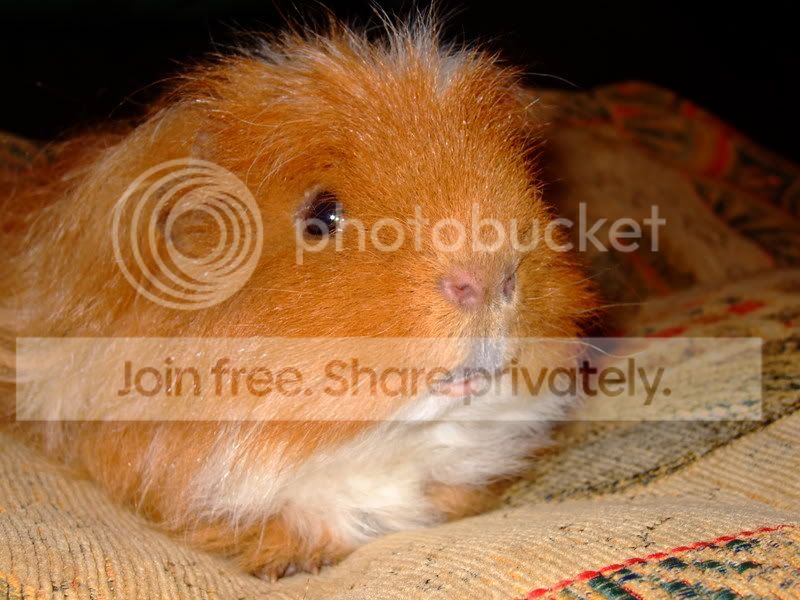 Harry007.jpg