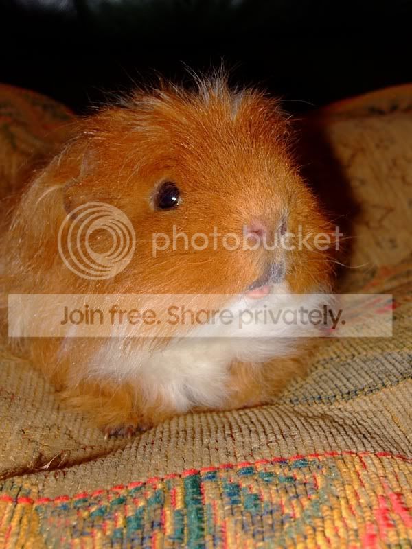 Harry008.jpg