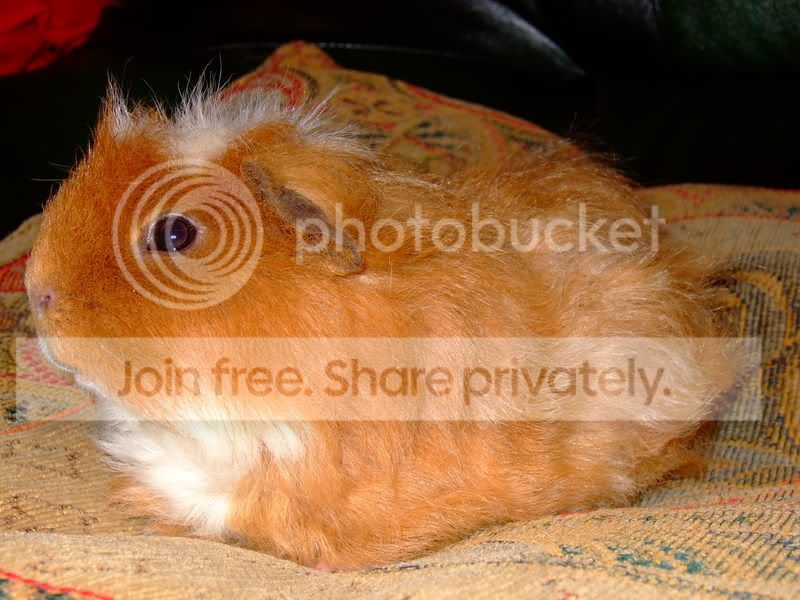 Harry013.jpg