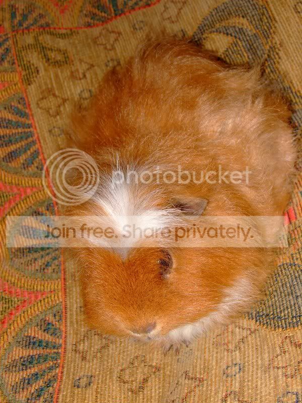Harry014.jpg