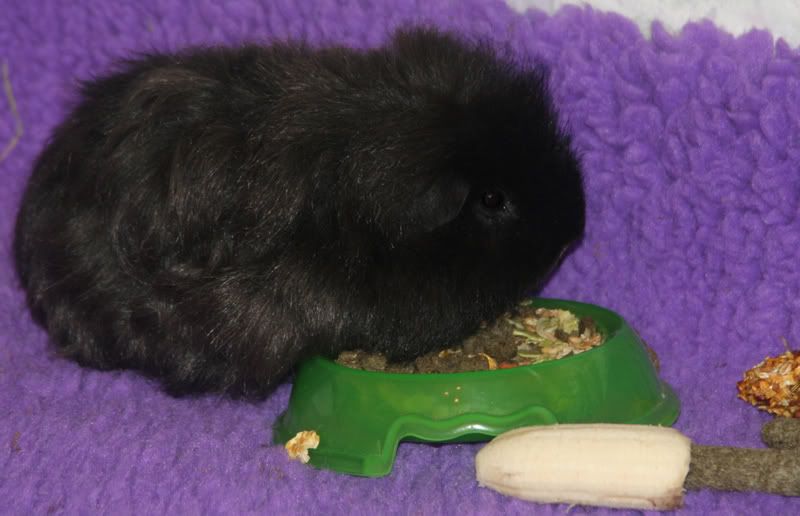 Sweep007.jpg