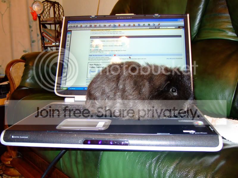 Sweep013.jpg