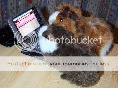 HamstersPL.jpg