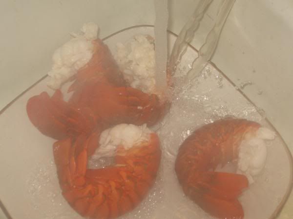 https://i66.photobucket.com/albums/h273/kheihn/lobster2.jpg