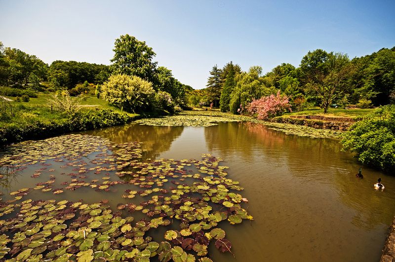 Ataturk Arberetumu / Bahcekoy, Sariyer - Istanbul photo ataturk_arboretum104.jpg