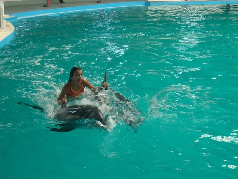 Istanbul Dolphinarium / Silahtaraga - Eyup photo istanbul_dolphinarium105.jpg