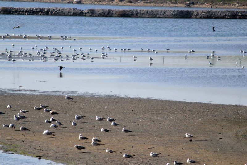 Buyukcekmece Lake / Catalca - Istanbul photo bcekmece910.jpg