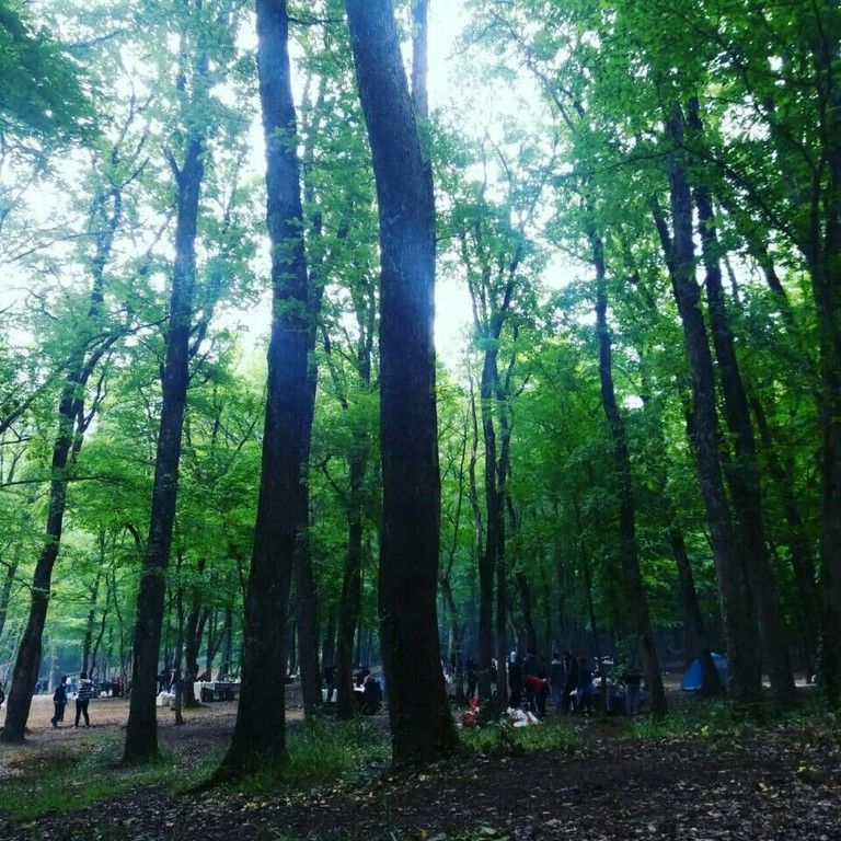 Falih Rifki Atay Nature Park / Sariyer - Istanbul photo fratay_naturepark133.jpg