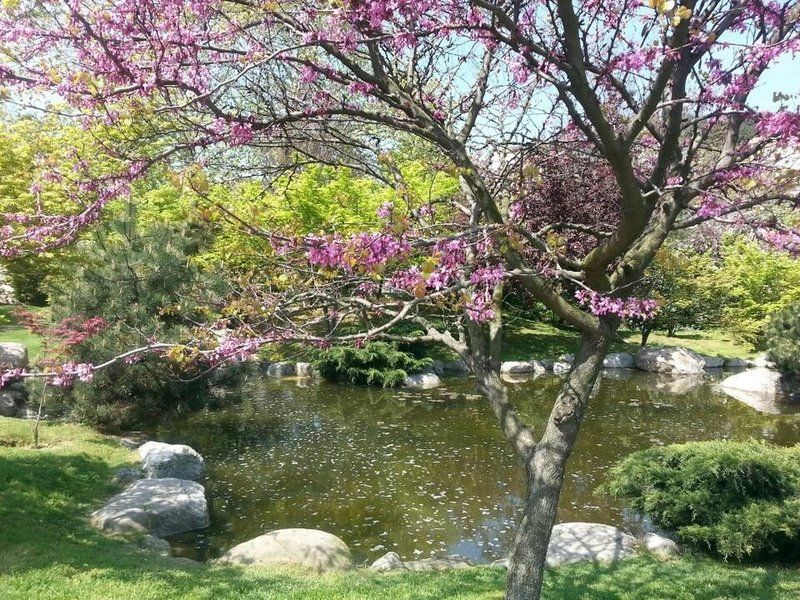 Baltalimani Japon Garden / Sariyer - Istanbul photo japanese_garden108.jpg