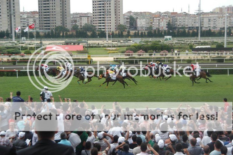 Veliefendi Race Course / Zeytinburnu - Istanbul photo veliefendi_hipodrom107.jpg